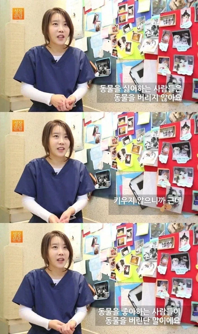유기동물 팩트_1.webp