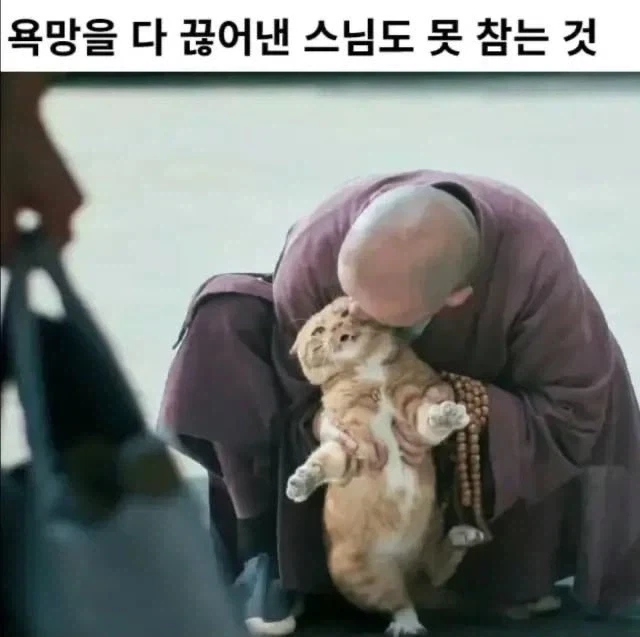 속세의 욕망을 포기한 스님도 못 참는 것_1.webp