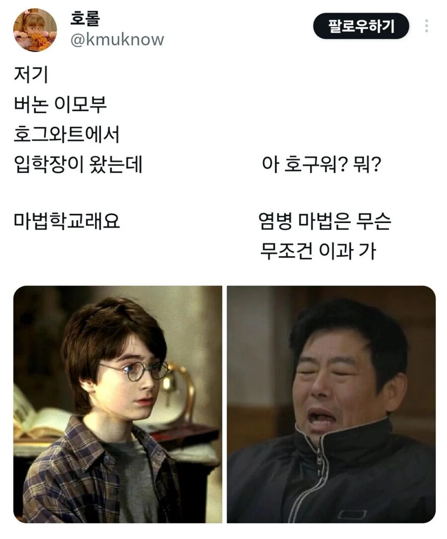 해리포터) 해리 삼촌이 성동일이었다면.jpg_1.jpg