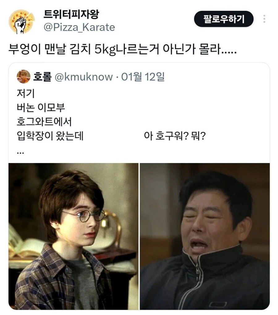 해리포터) 해리 삼촌이 성동일이었다면.jpg_11.jpg