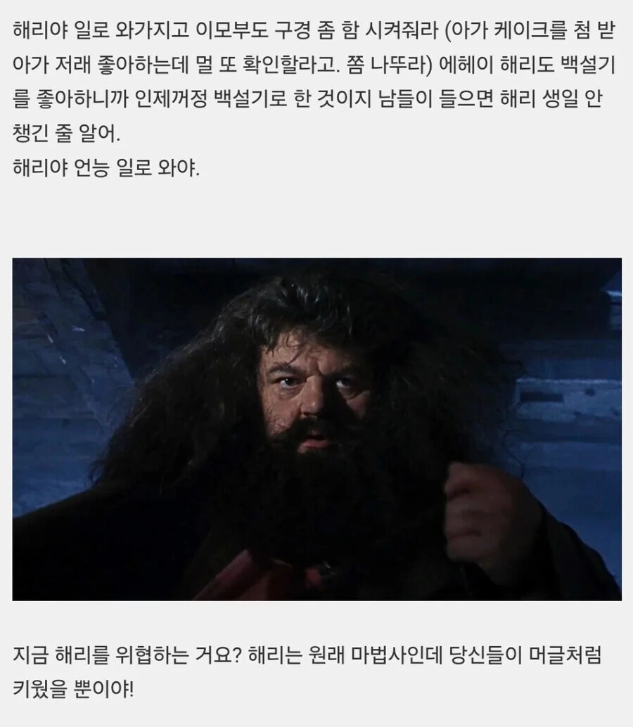 해리포터) 해리 삼촌이 성동일이었다면.jpg_18.jpg