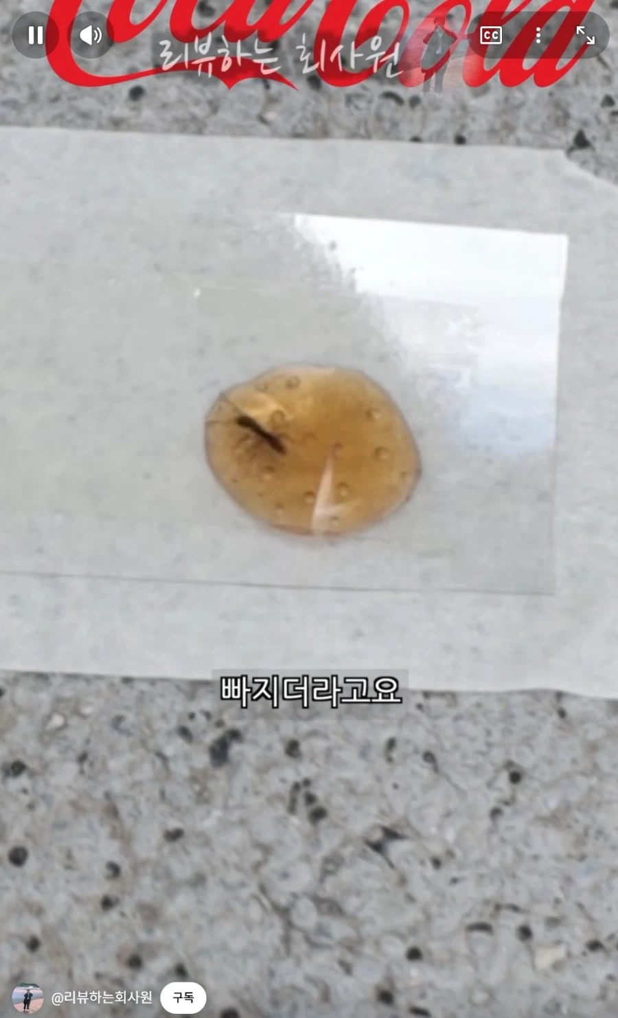 둘이 먹다가 하나가 죽는다고 하는 코카콜라.jpg_4.webp