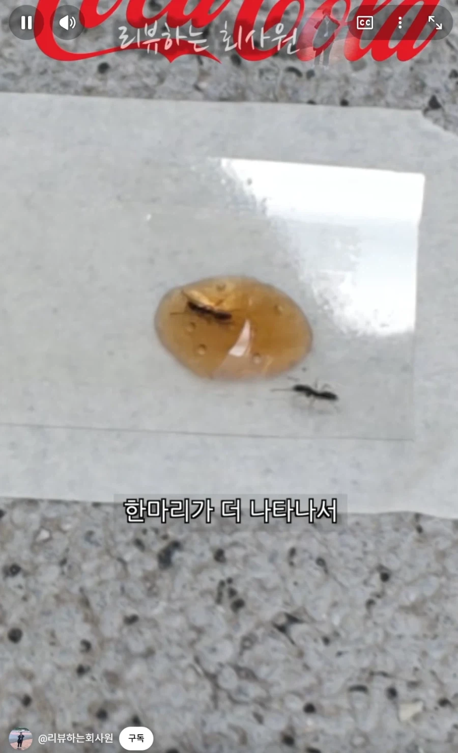 둘이 먹다가 하나가 죽는다고 하는 코카콜라.jpg_6.webp