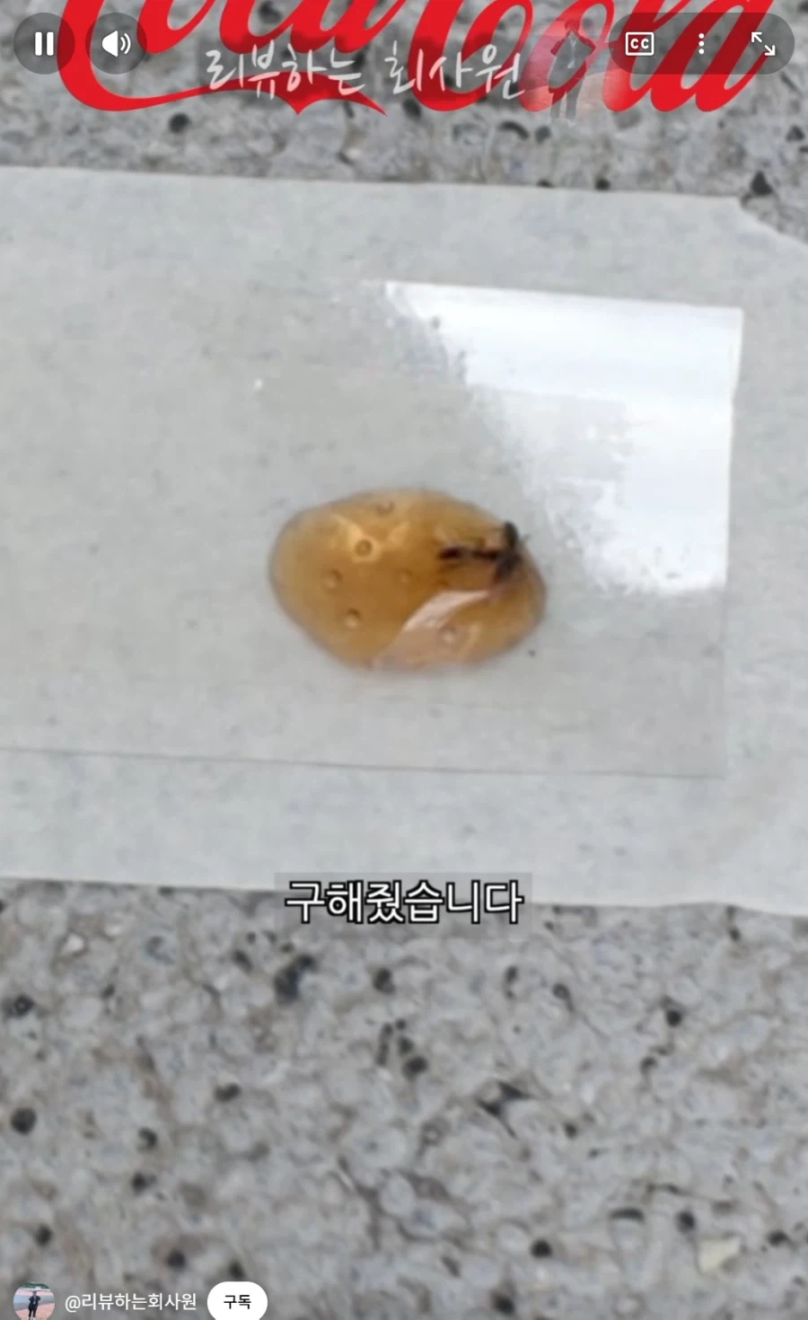 둘이 먹다가 하나가 죽는다고 하는 코카콜라.jpg_7.webp