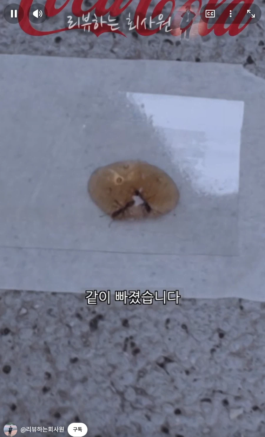 둘이 먹다가 하나가 죽는다고 하는 코카콜라.jpg_9.webp