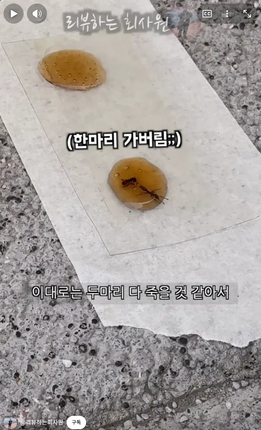 둘이 먹다가 하나가 죽는다고 하는 코카콜라.jpg_10.webp