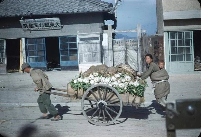 1948년에 찍은 컬러사진_7.webp