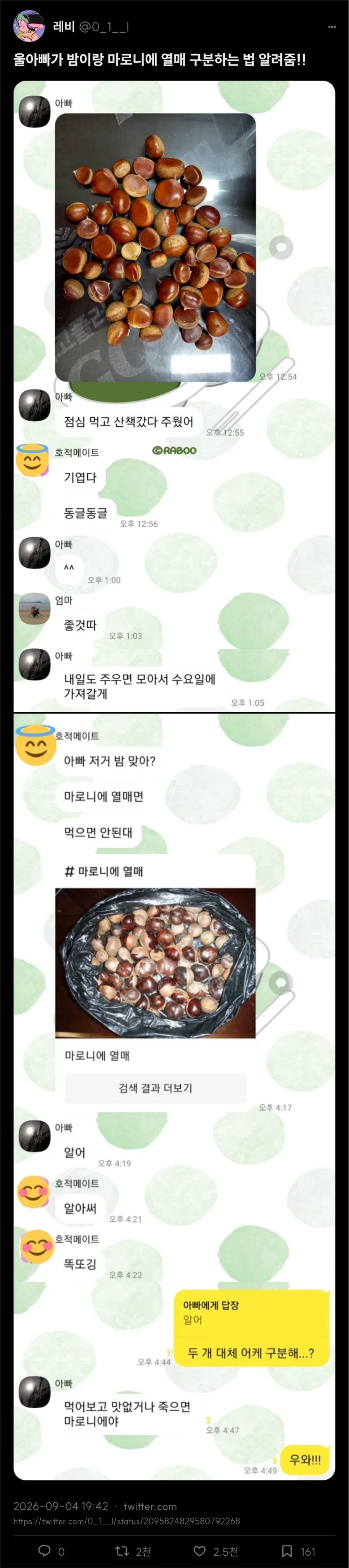 밤이랑 마로니에 열매 구분하는 방법_1.webp