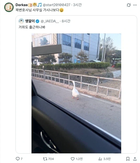 꽉 변호사 출근하는 모습 빨간약 공개됬네 ㄷㄷ_1.webp