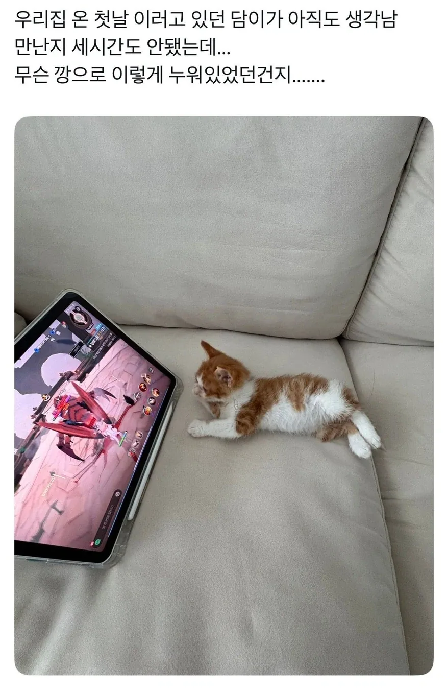 집에 온 뒤 3시간 후_1.webp