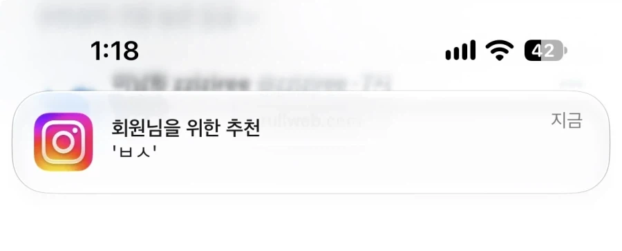 시바 인스타 뭐냐_1.webp