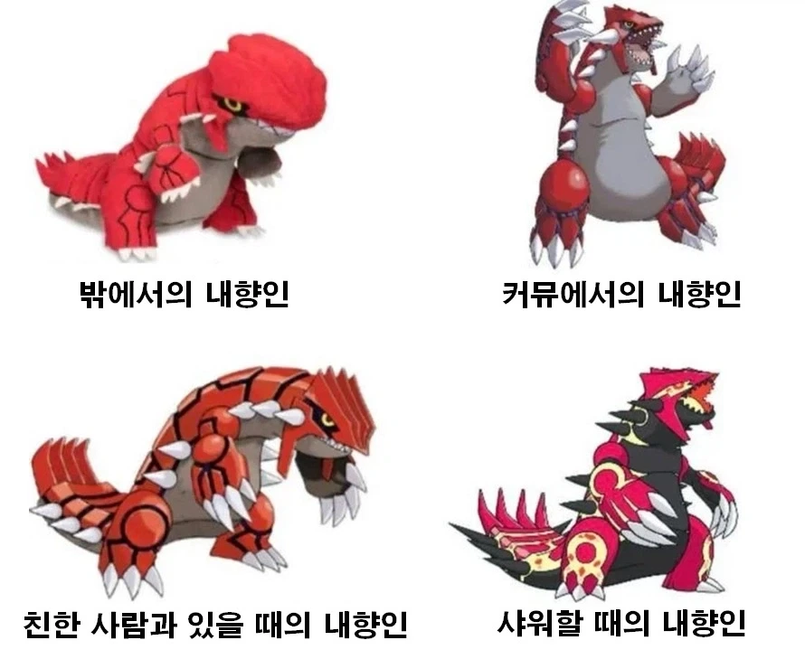 내향인이 가장 강해질 때_1.webp