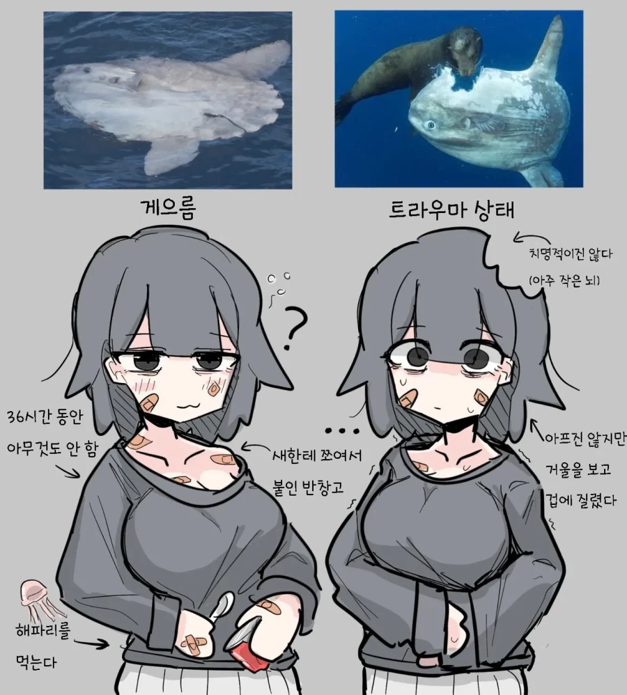 개복치 의인화.JPG_1.webp