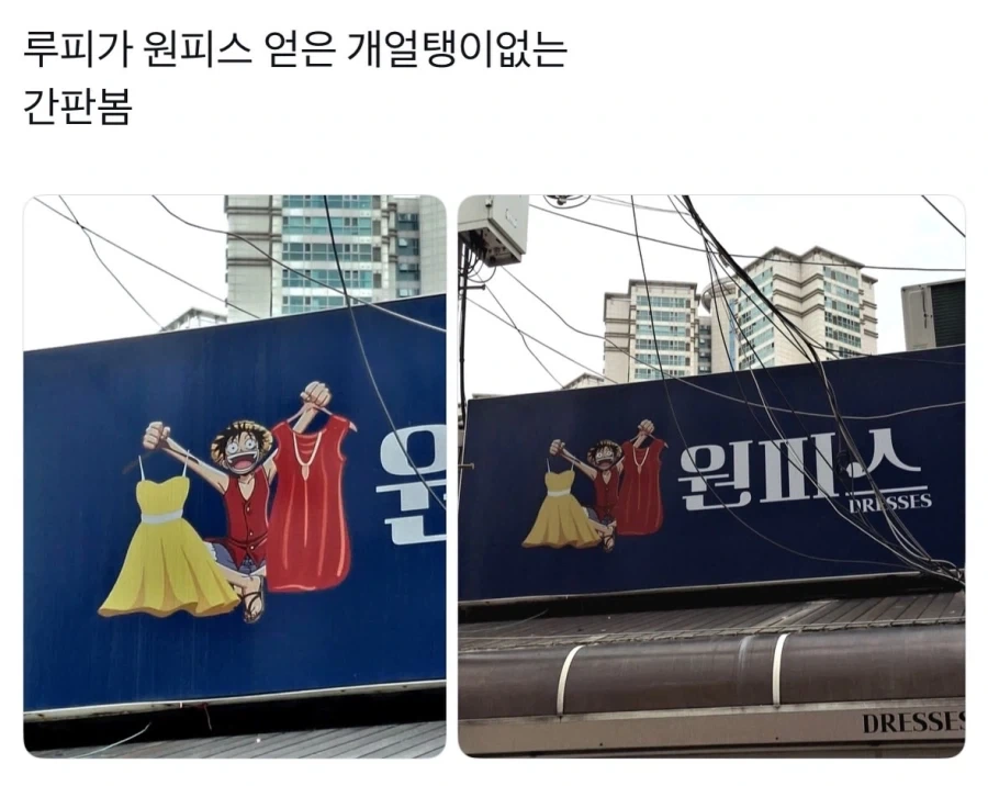 원피스는 존재한다!_1.webp