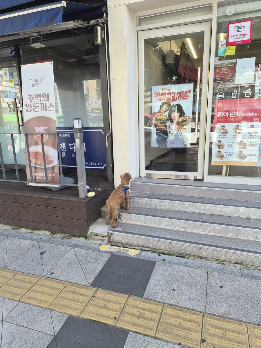 주인놈아..._1.webp