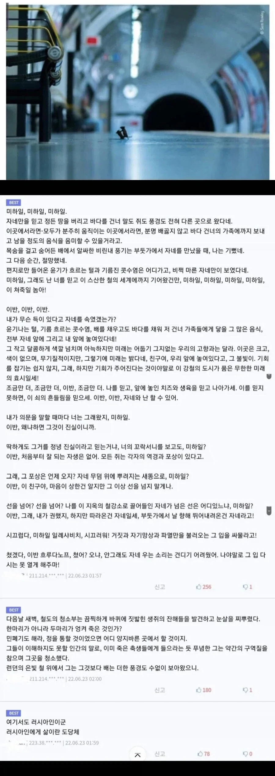 도시에서 쥐가 줄어들지 않는건_1.webp
