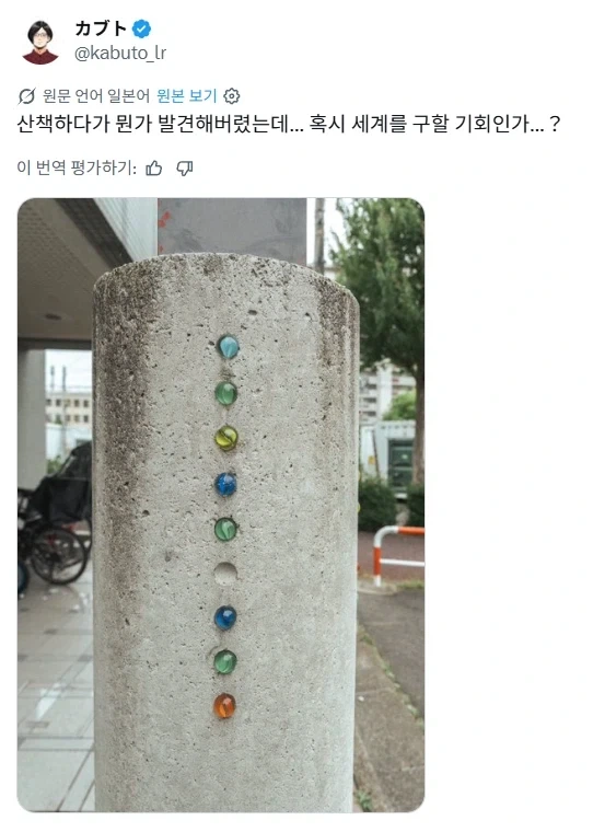 산책중에 발견한 것.jpg_1.webp