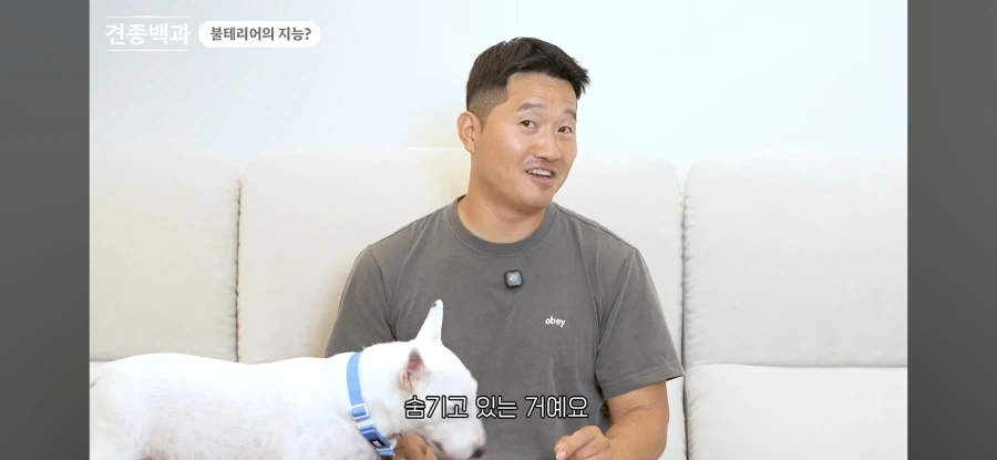 불테리어의 비밀을 폭로하는 개통령_5.webp
