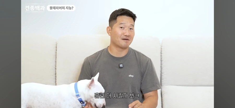 불테리어의 비밀을 폭로하는 개통령_6.webp