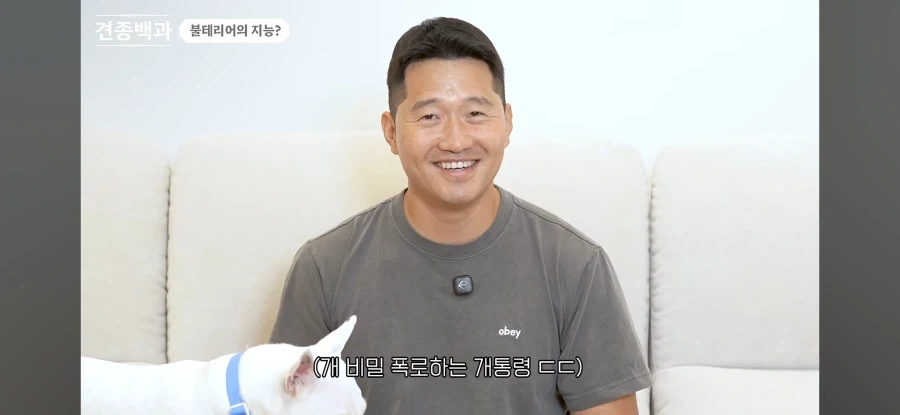 불테리어의 비밀을 폭로하는 개통령_7.webp
