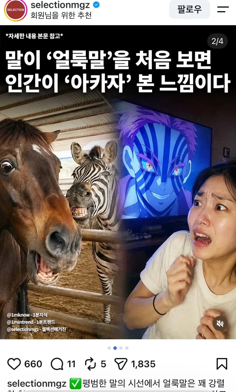 다들 얼룩말 처음 봤을때 어땠어?_1.webp