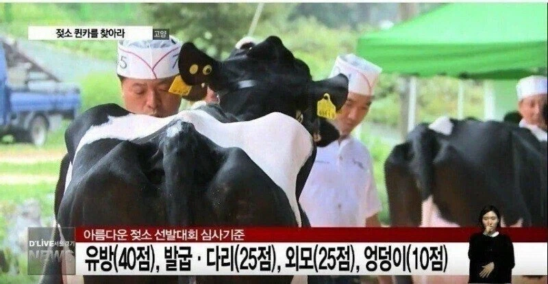 유방(40점), 다리(25점), 외모(25점), 엉덩이(10점)_1.webp