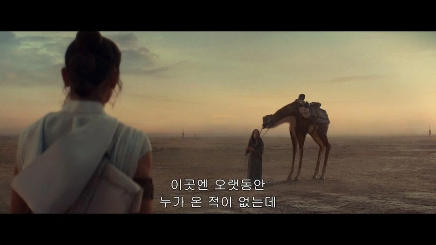 스카이워커 가문의 마지막 혈통.jpg_1.webp