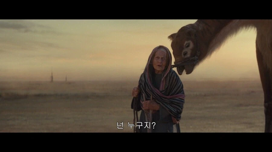 스카이워커 가문의 마지막 혈통.jpg_2.webp