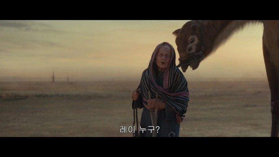 스카이워커 가문의 마지막 혈통.jpg_4.webp