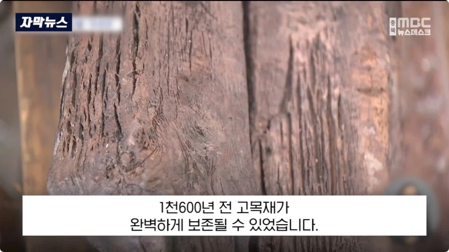 충주에서 1600년전 백제 유물 발견.jpg_9.webp