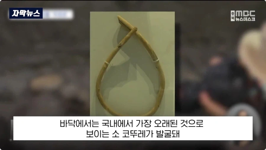 충주에서 1600년전 백제 유물 발견.jpg_14.webp