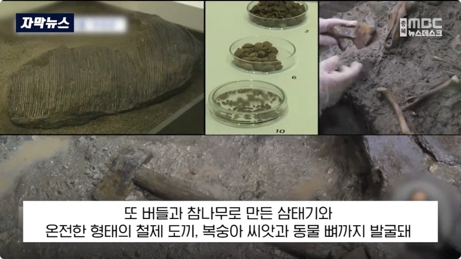 충주에서 1600년전 백제 유물 발견.jpg_16.webp