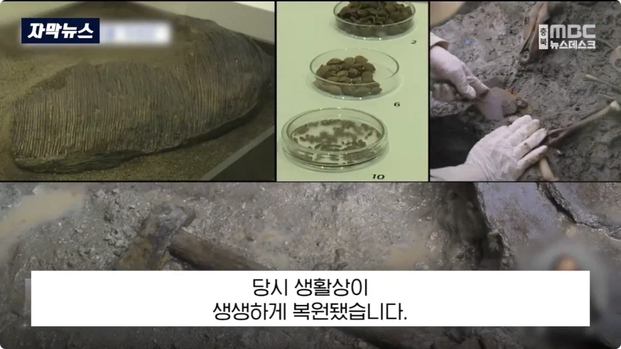 충주에서 1600년전 백제 유물 발견.jpg_17.webp