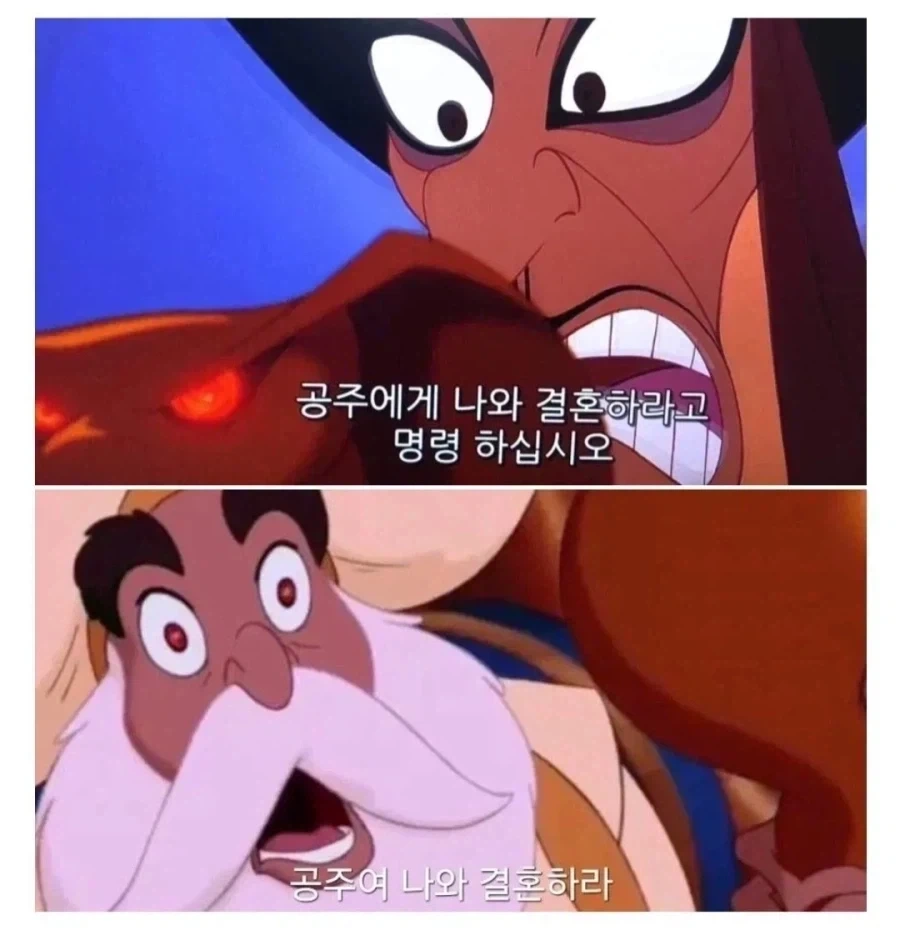 공주에게 나와 결혼하라고 명령해_1.webp