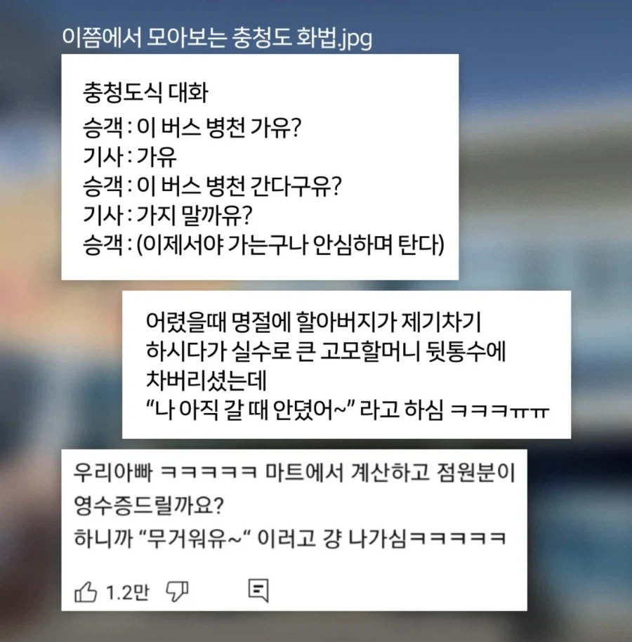 사실 치열한 밈 배틀이라는 충청도 사투리.jpg_3.webp