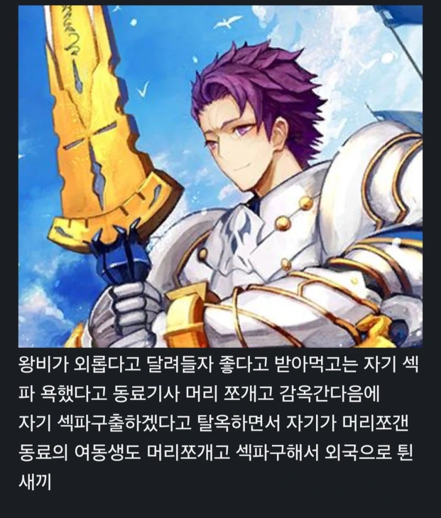 페이트)어질어질한 란슬롯 한짤 요약_1.webp