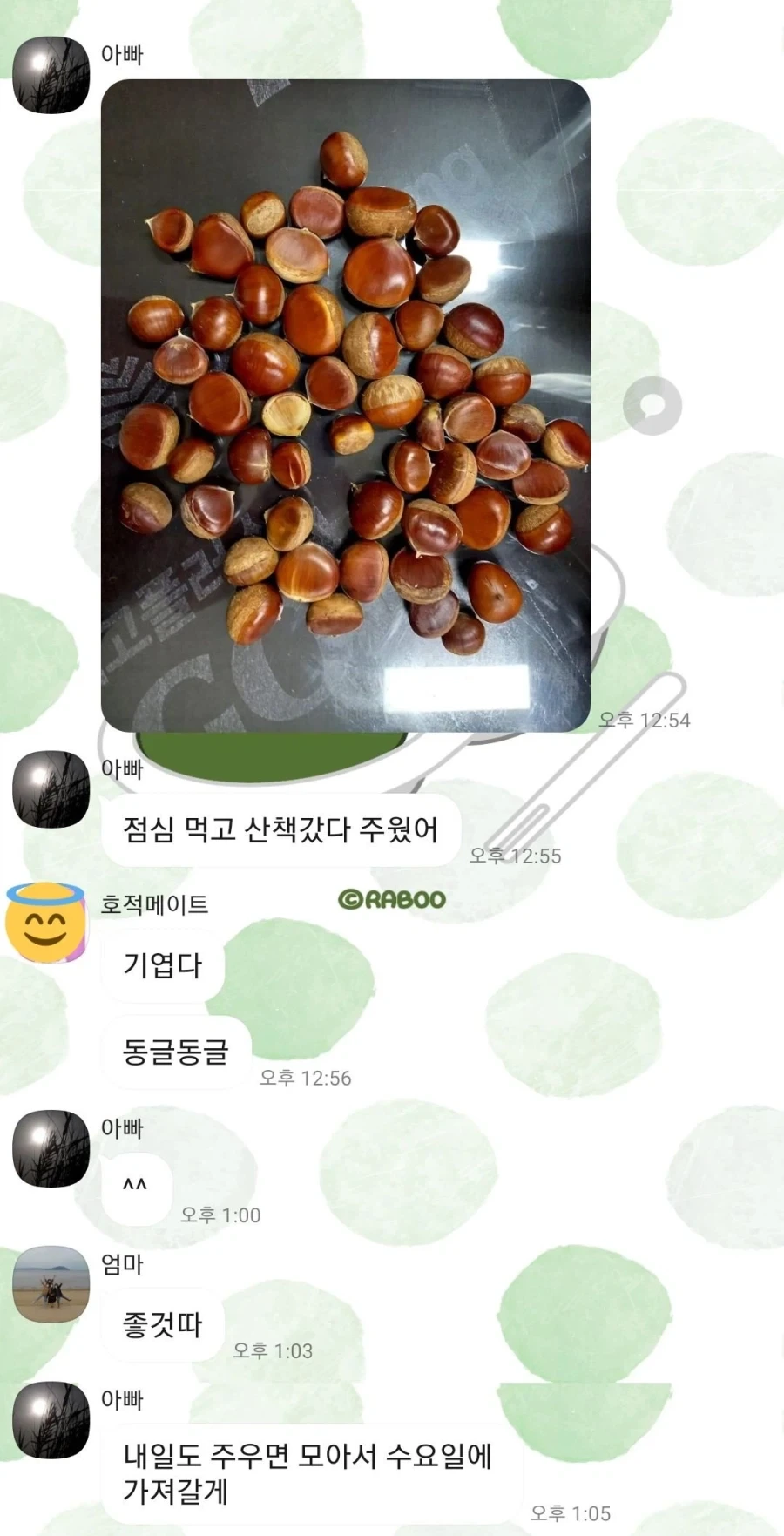 밤이랑 마로니에 구분하는 꿀팁_1.webp