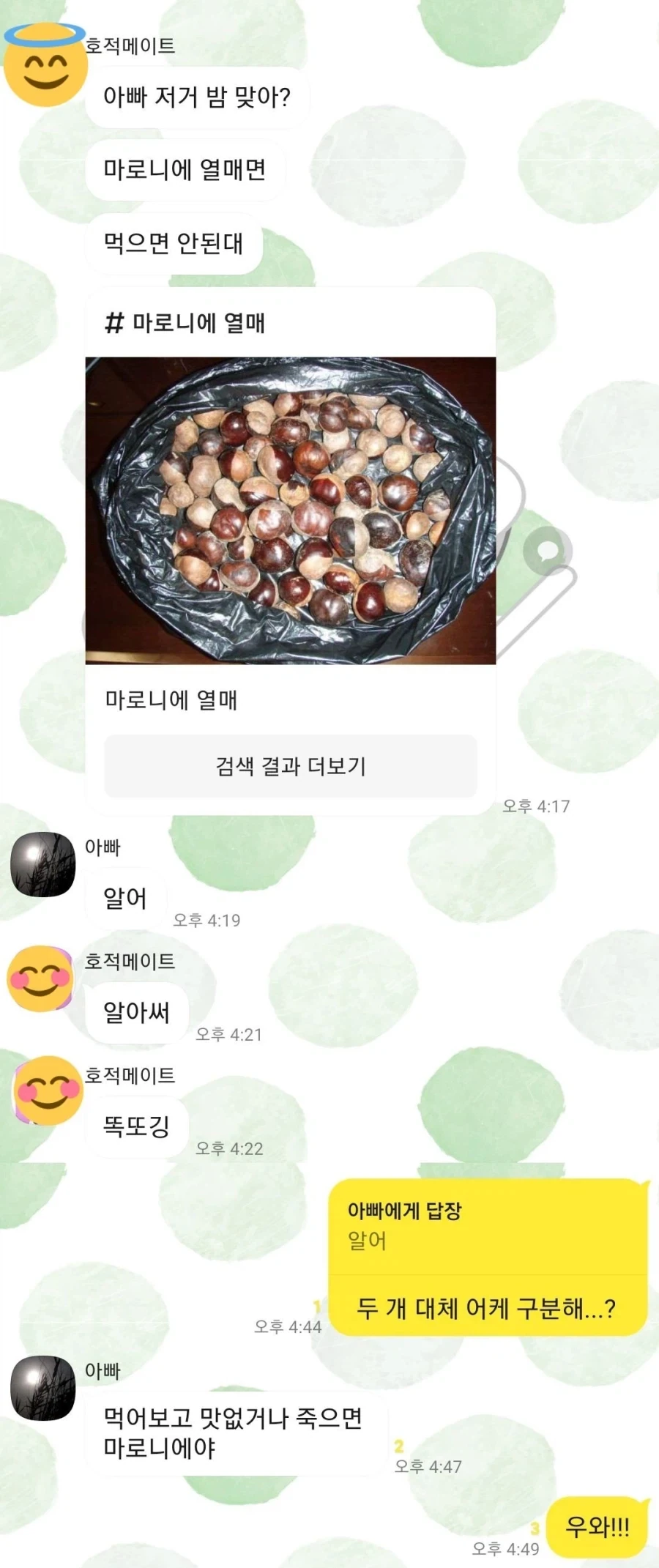 밤이랑 마로니에 구분하는 꿀팁_2.webp