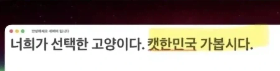 새덕후)이 사람 왜이렇게 됐어_2.webp