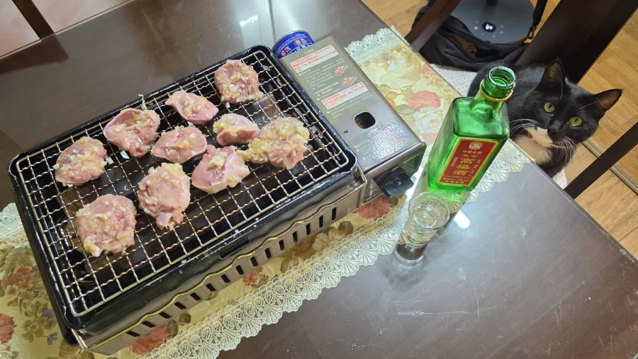 야옹이랑 소소하게 낮술 한잔함_2.webp