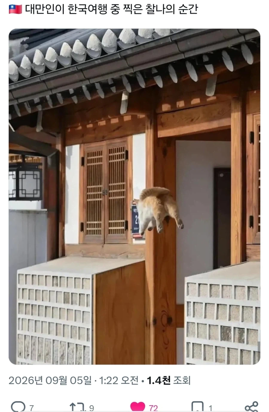 세상에 이젠 날아다니잖아.x_1.webp
