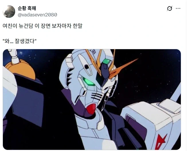 건담 처음 본 여친이 한 말.jpg_1.webp