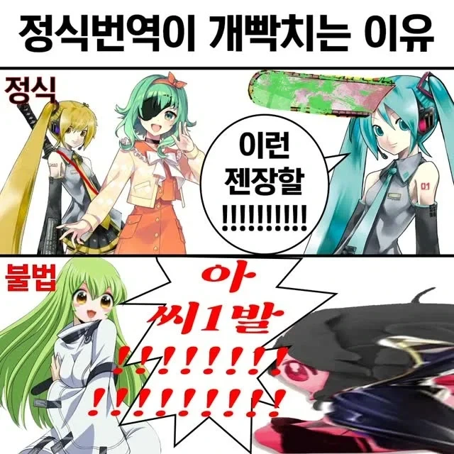정식 번역과 불법 번역의 차이점_1.webp