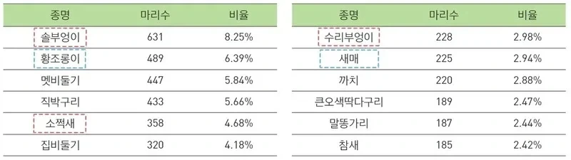 다시한번 말하지만 한국 새죽는 비율 2위가 빌딩충돌임_1.webp