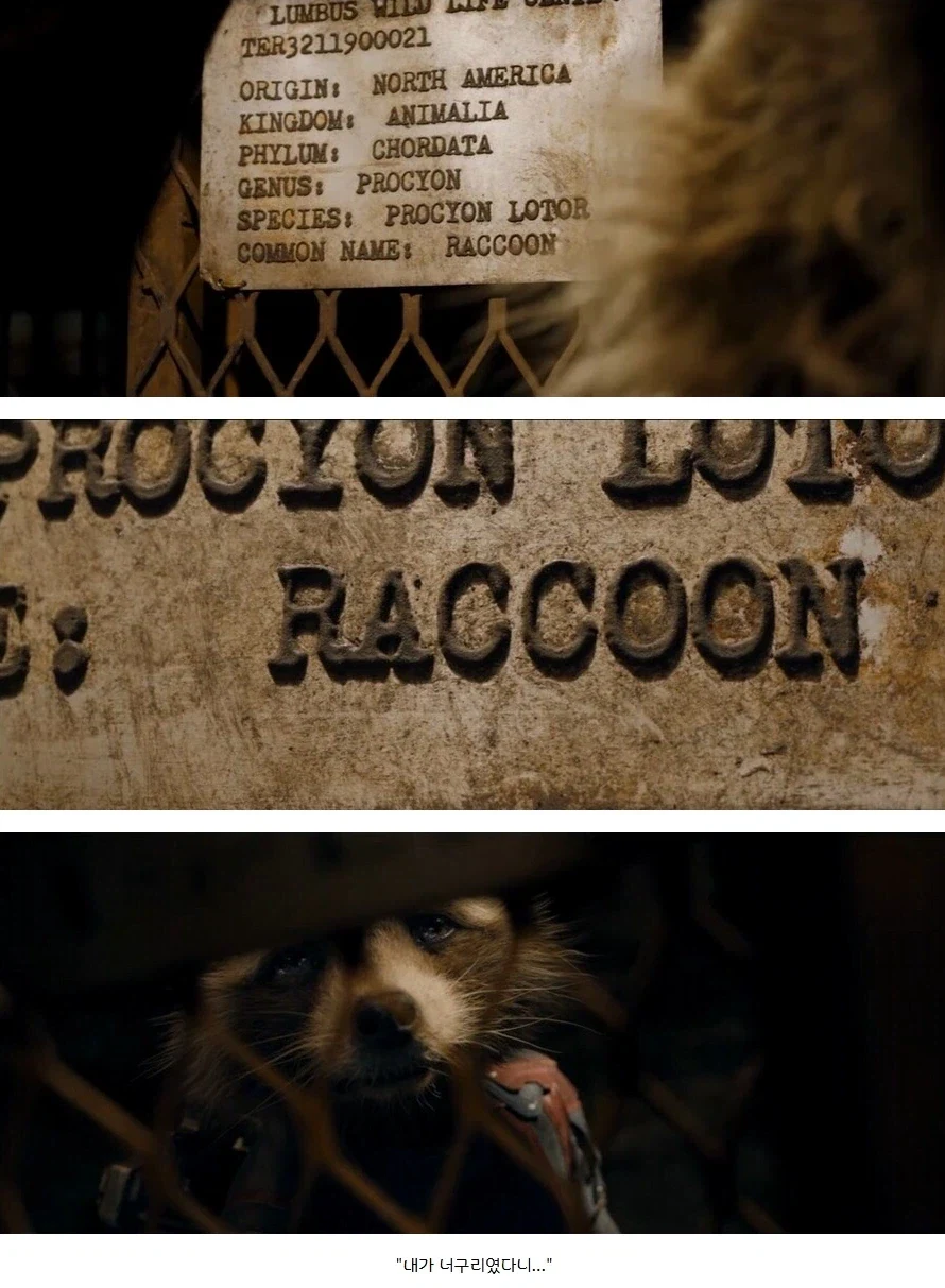 MCU) 가오갤3에서 충격적이었던 반전요소_1.webp