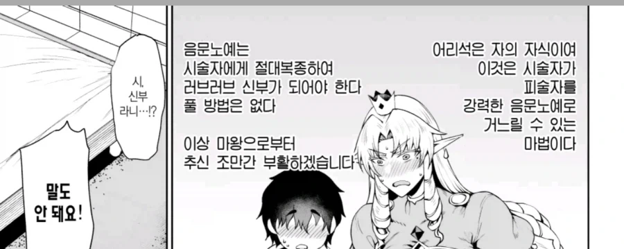 인간따위는 역겹다는 엘프 왕족 특징.jpg_4.webp