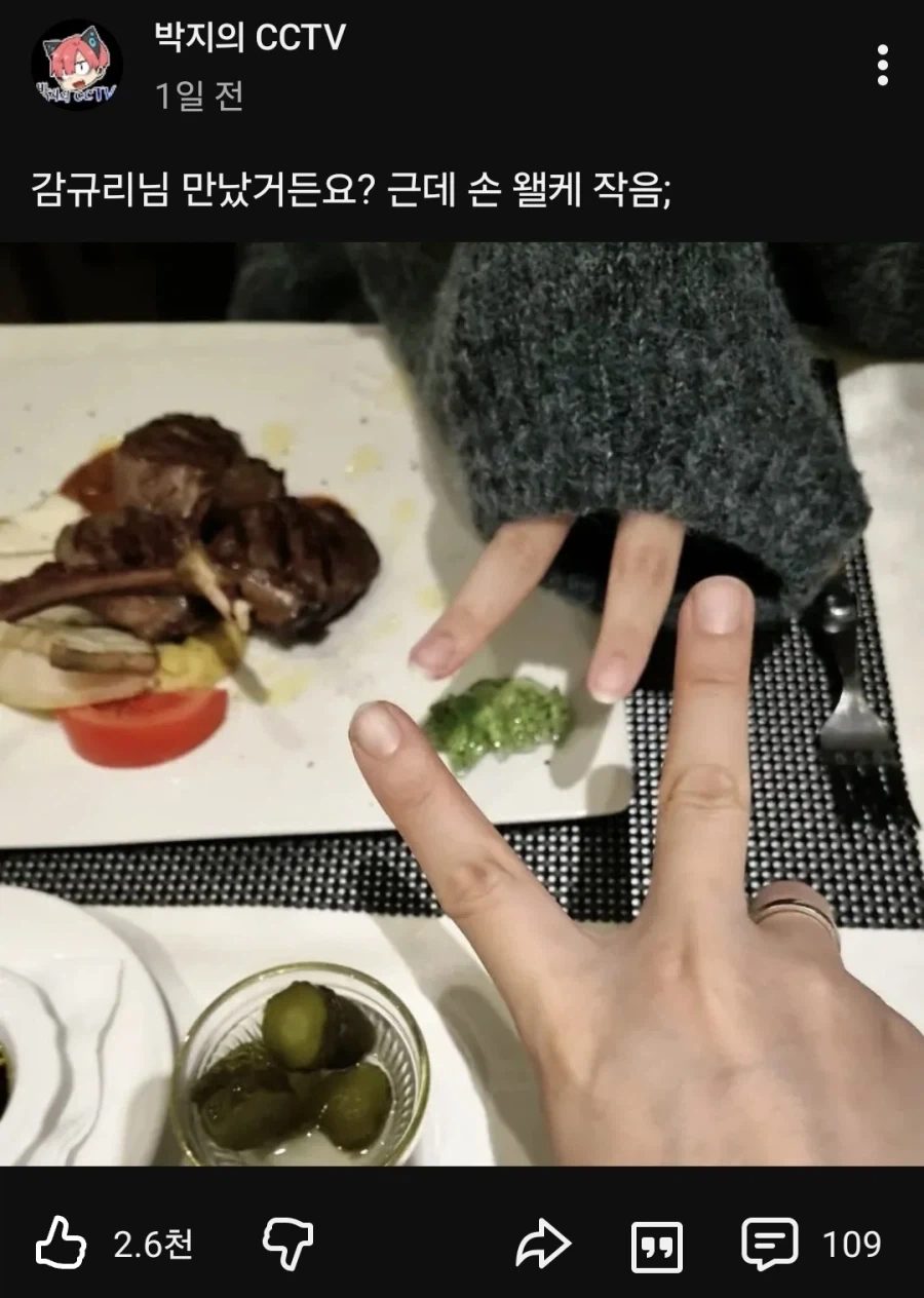 박지와 감규리의 차이점_1.webp