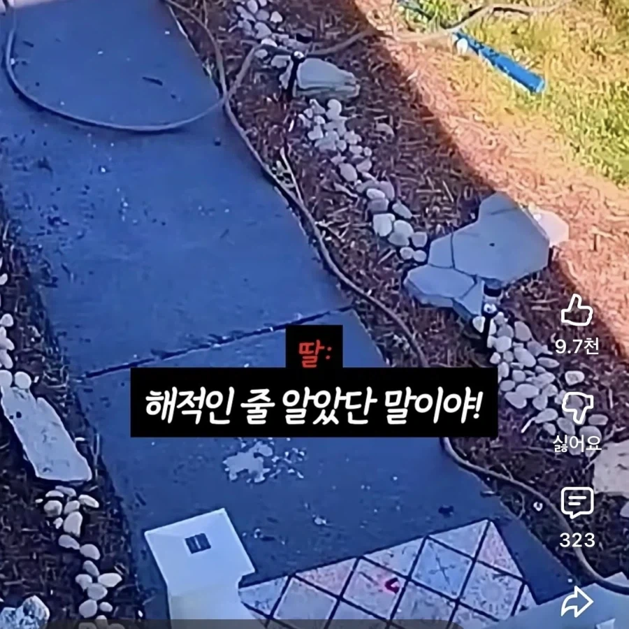 장애인에게 무례하게 군 딸내미 혼내기_6.webp