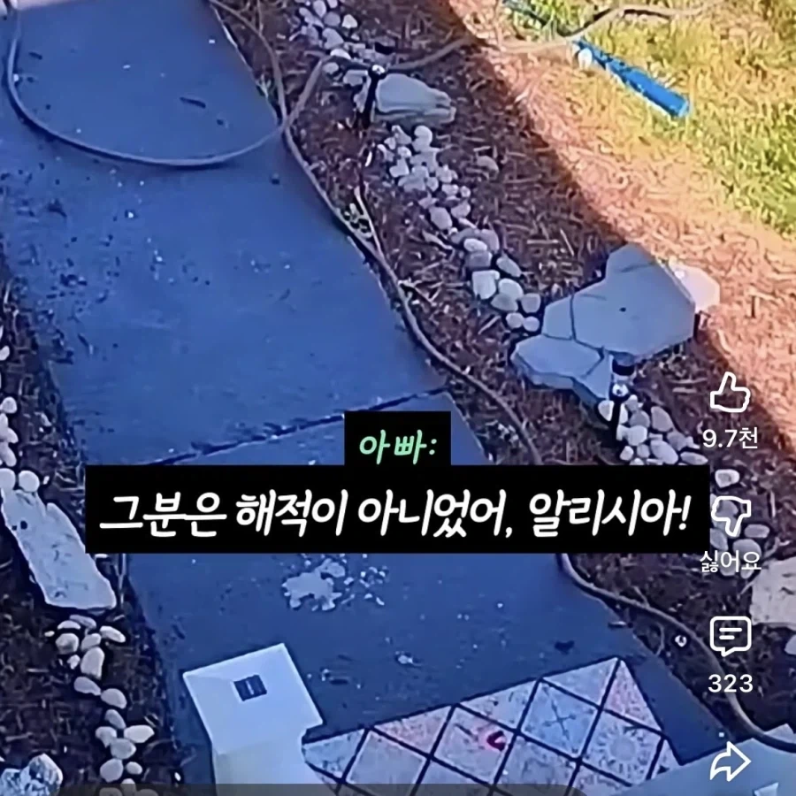 장애인에게 무례하게 군 딸내미 혼내기_7.webp