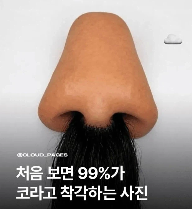 처음 보면 99%가 코라고 착각하는 사진_1.webp